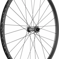 Dt-swiss Roue Avant E 1900 Spline® 29" 30mm 6 Trous Boost